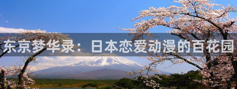 动漫天堂下载最新版：东京梦华录：日本恋爱动漫的百花园